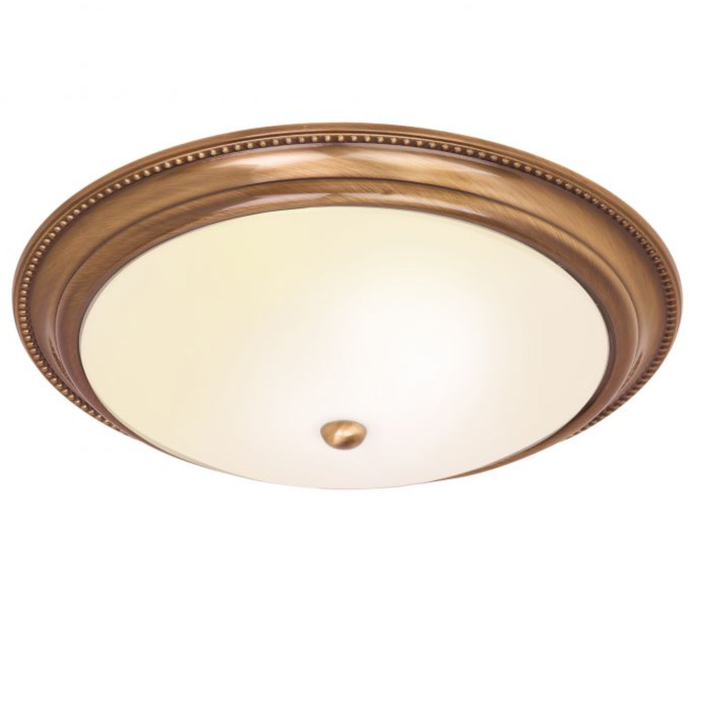 Compass Ceiling Light