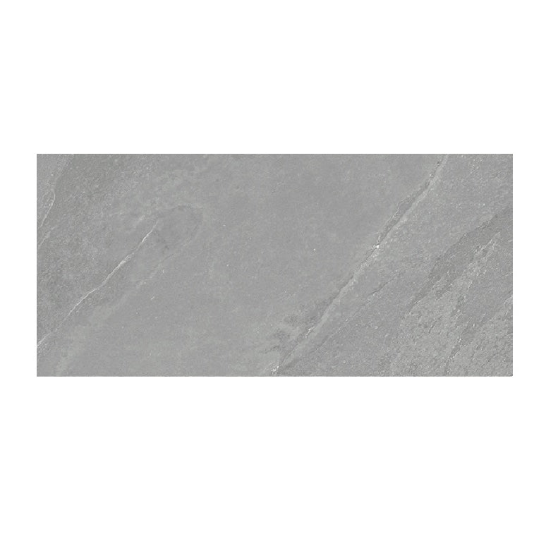 Cordic Palladium Matt Wall & Floor Tile 30cm x 60cm